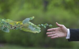 protection de l'environnement 